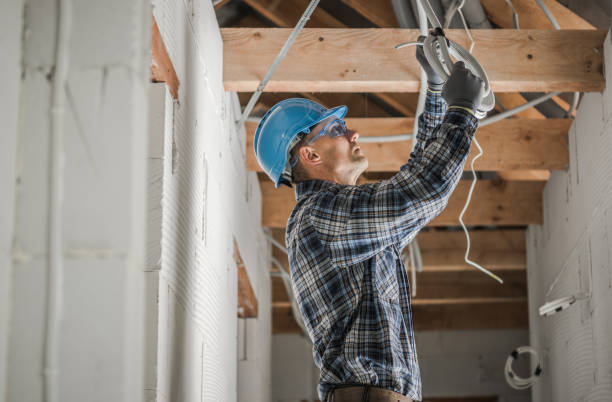 Best Ceiling Fan Installation Electrician  in Afton, MN