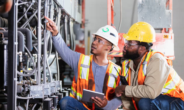 Best Electrical System Inspection  in Afton, MN